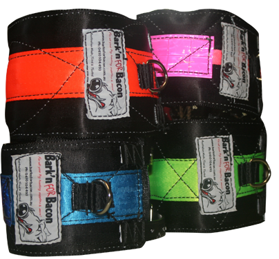 SK Neck Collars