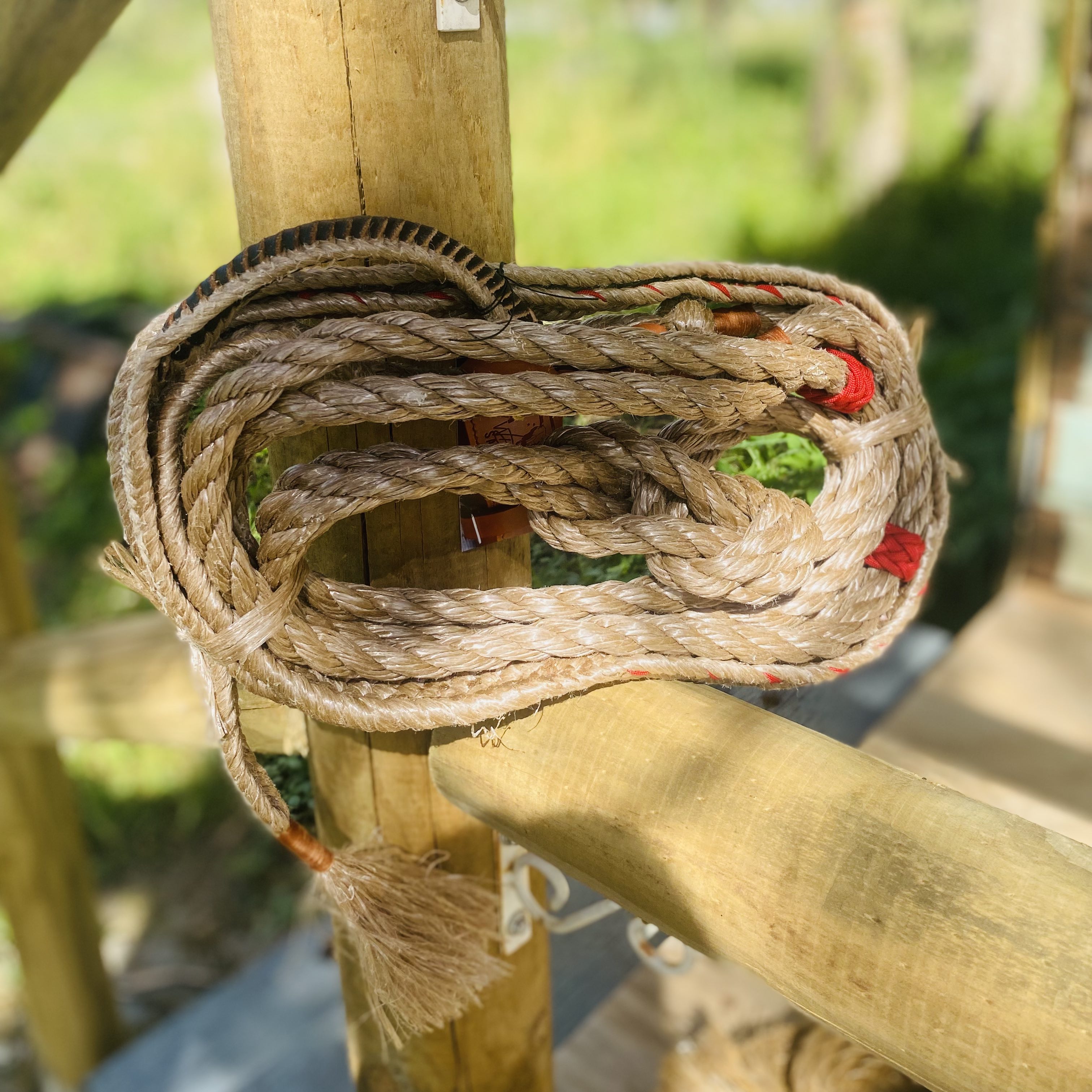 Bull Rope